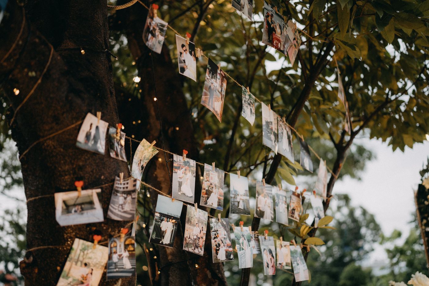 Açık hava düğününde ağaca asılmış çift ve aile fotoğrafları